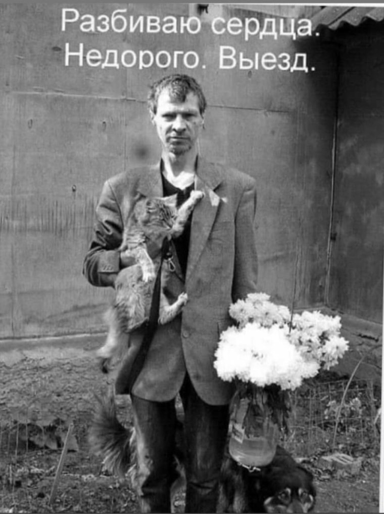 Разбиваю сердца недорого выезд