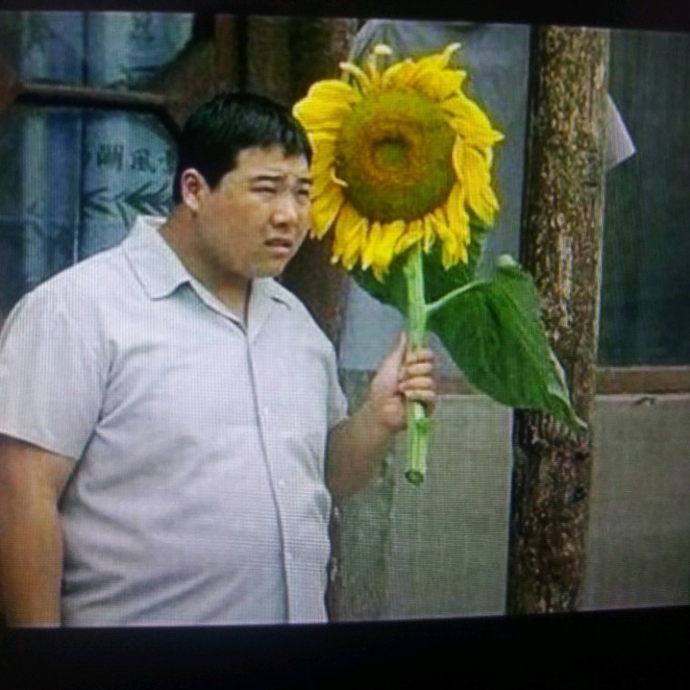Мужик с подсолнухом прикол