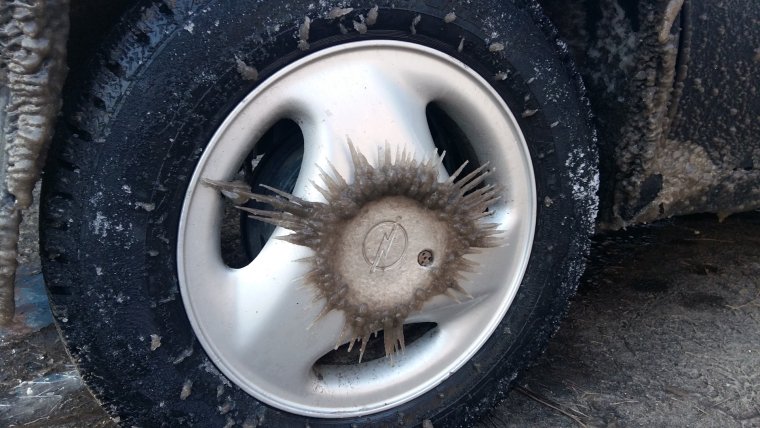 Диски прикол