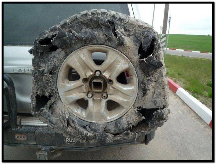 Резина авто прикол