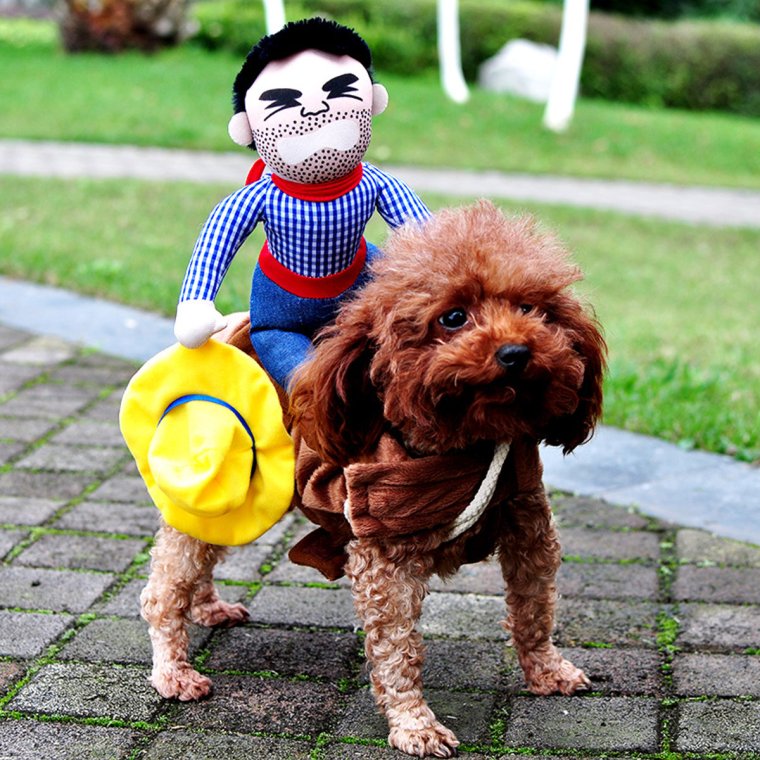 Костюм собаки