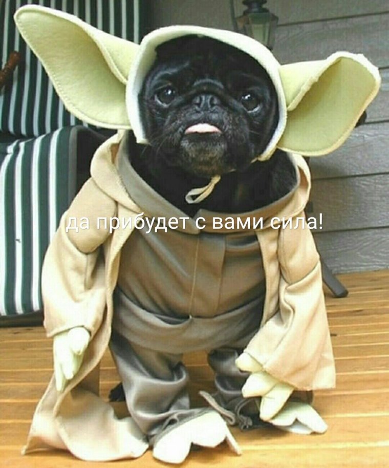 Костюм для собаки Star Wars Yoda