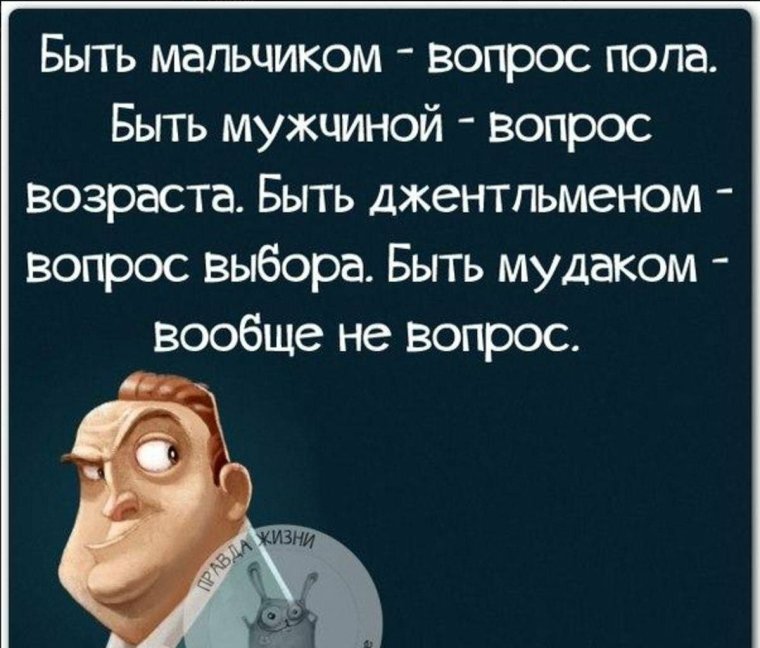 Смешные цитаты
