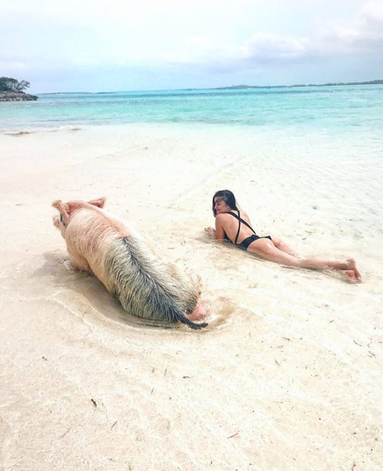 Смешное на пляже