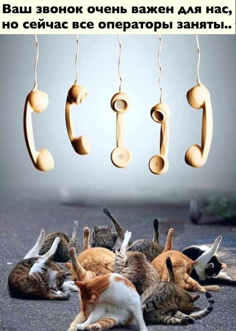 Звонок очень важен для нас