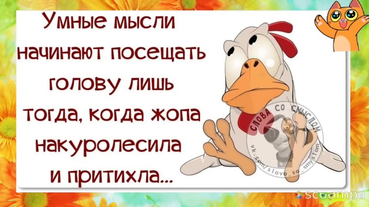 Прикольные мысли и высказывания