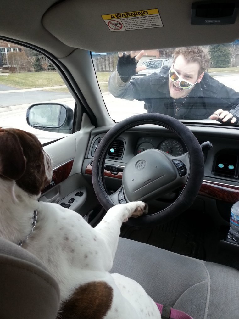 За рулем смешное