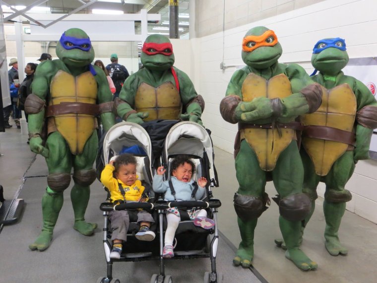 Черепашки ниндзя приколы