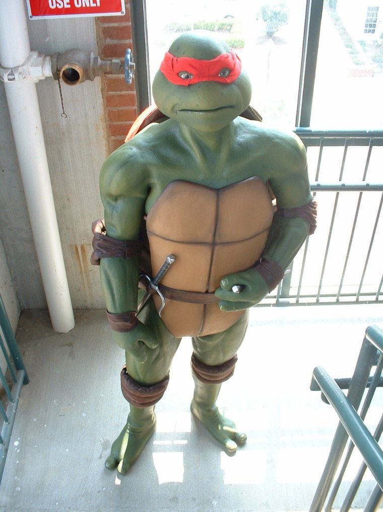 Костюм Черепашки ниндзя прикол