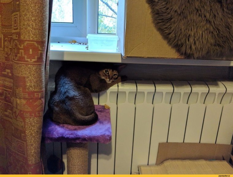 Отопление прикол