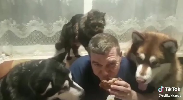 Белка с щеками