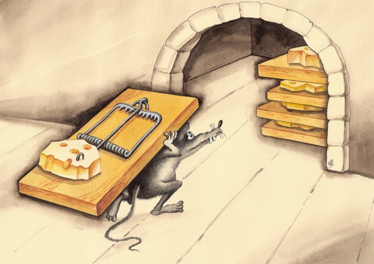 Жадина гифка