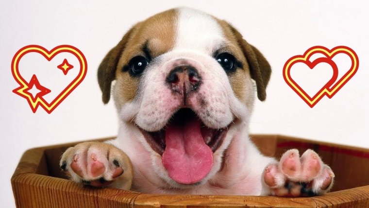 Жадный человек