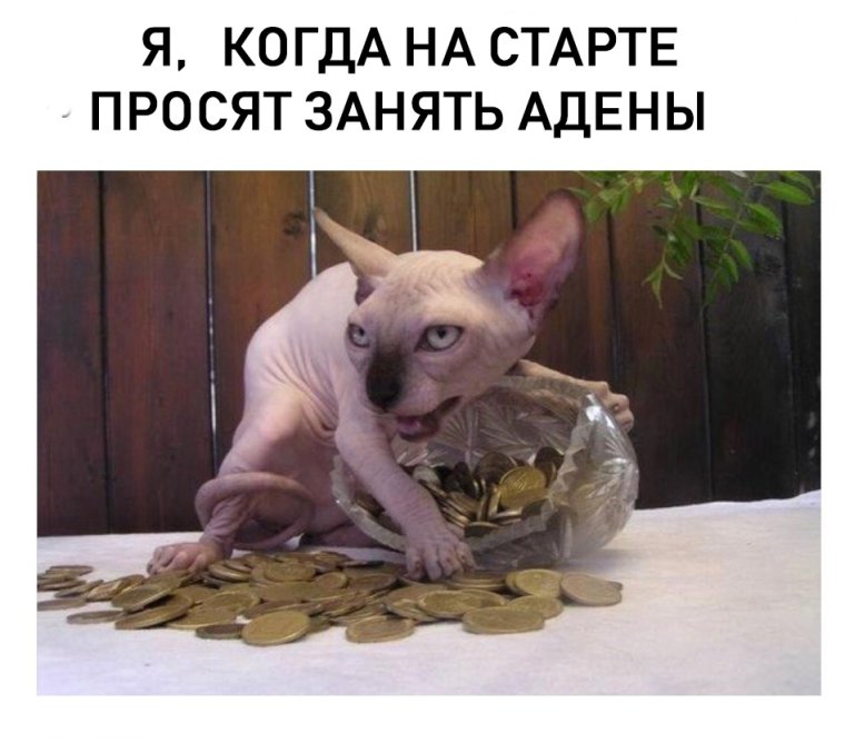 Сфинкс моя прелесть