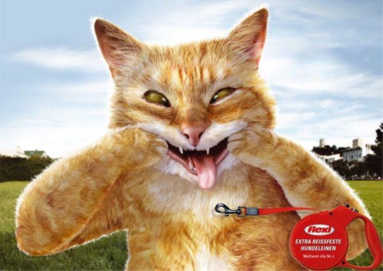 Жадный мужчина