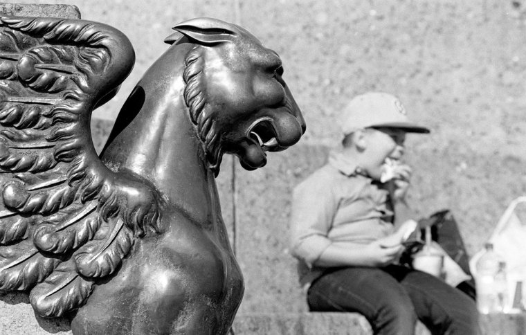 Ресторан жадина говядина Екатеринбург