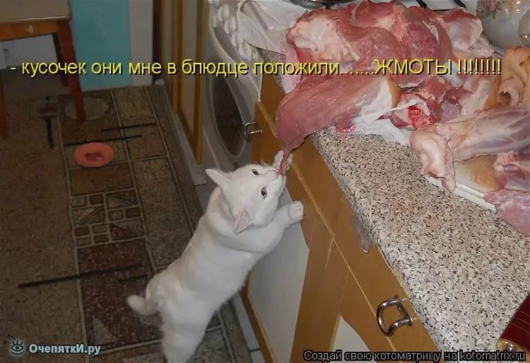 Толстый и красивый парниша