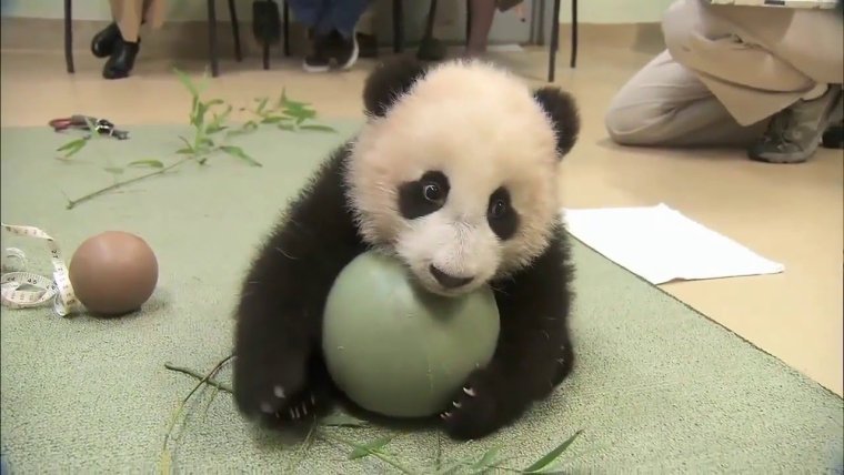 Жадина картинка Эстетика