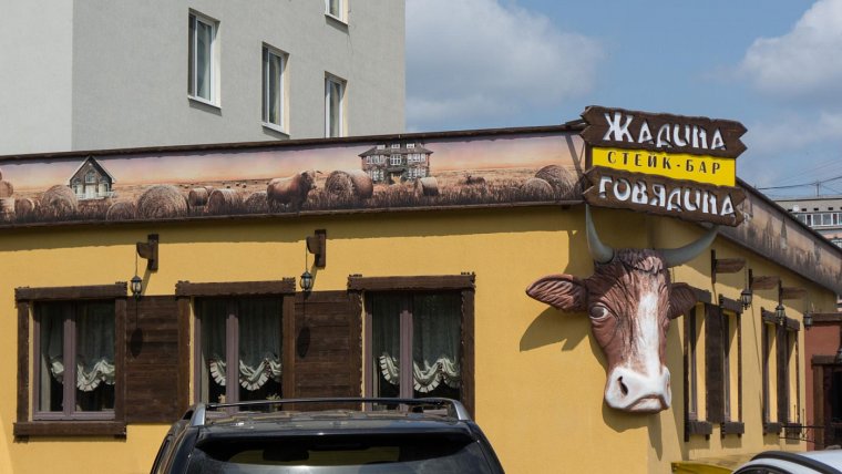 Кот нервничает