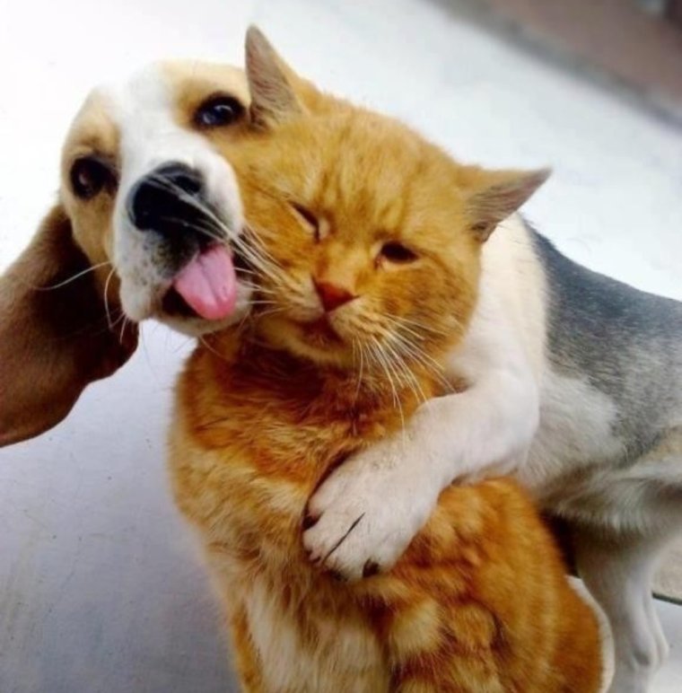 Придумайте название к фотографии