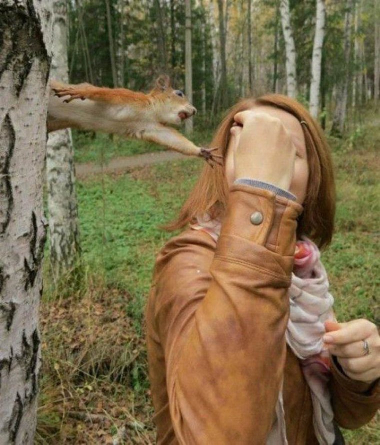 Жадные животные