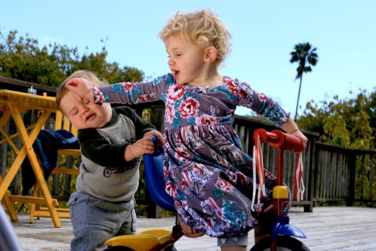 Хомяк с щеками