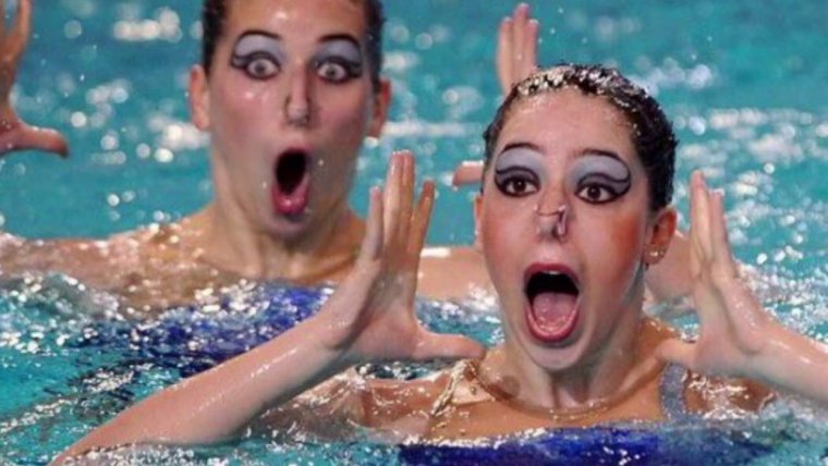 Смешные картинки животных синхронное плавание