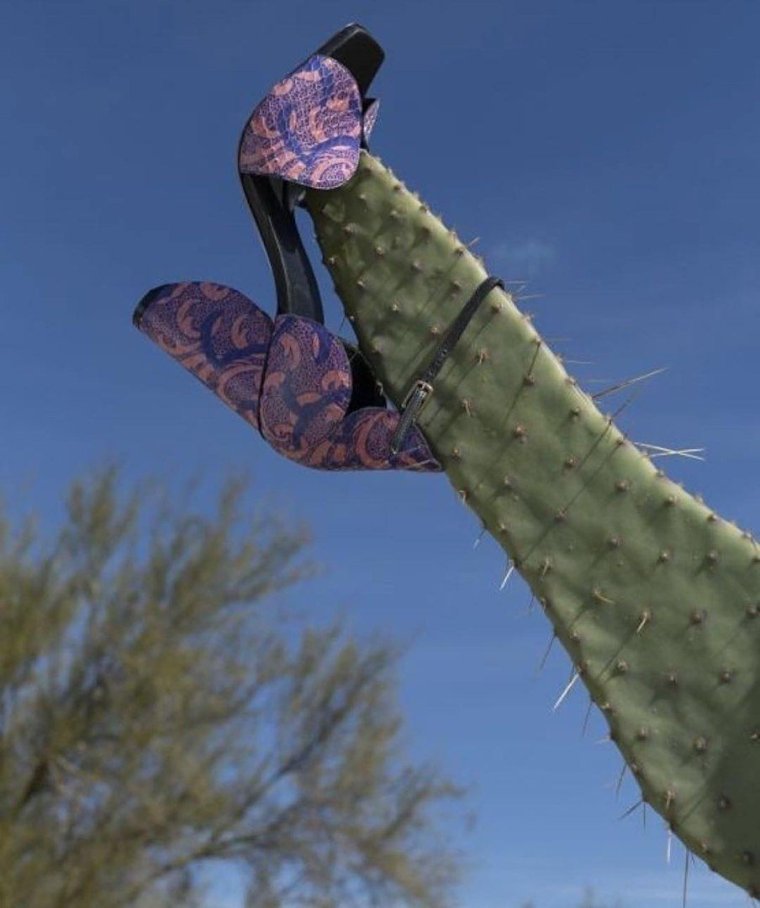 Девушка с кактусом