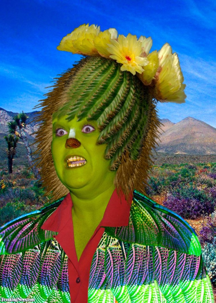 Человек Кактус