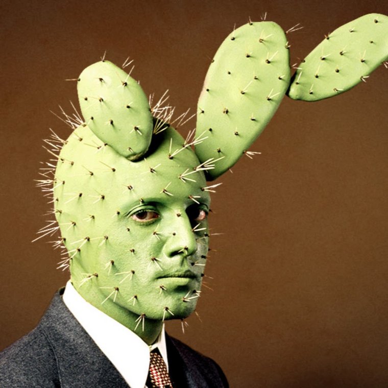Кактус Мем