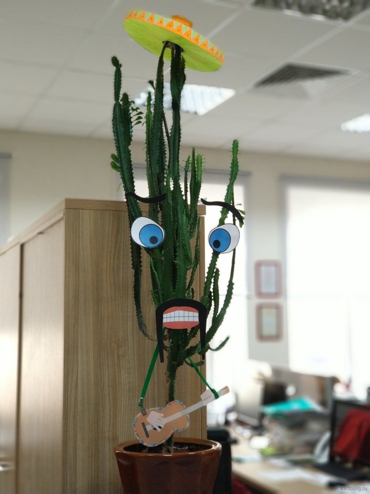 Кактус прикол