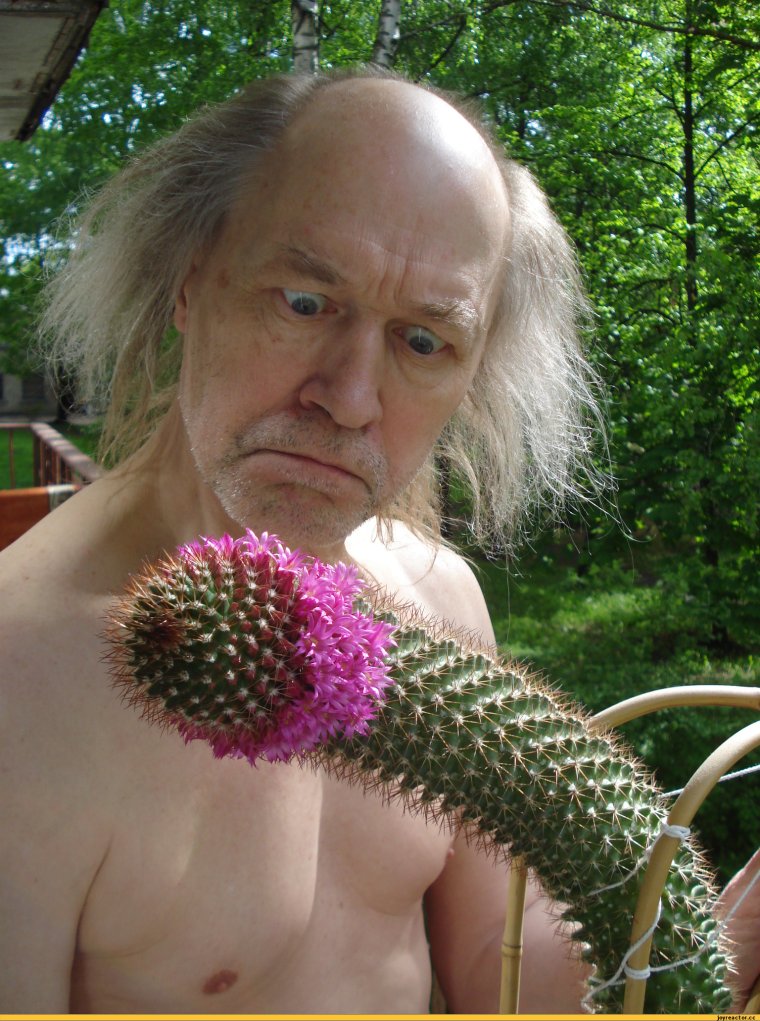 Смешной человек с цветами