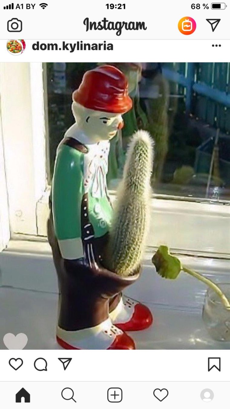 Смешные горшки для кактусов