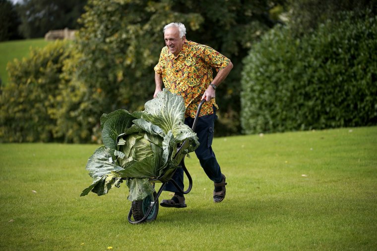 Фотосессия в капусте ребенка