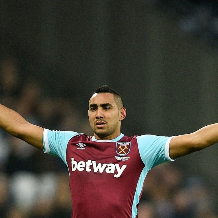 Коты с капустой на голове