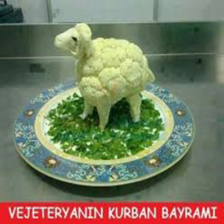 Девушка с капустой