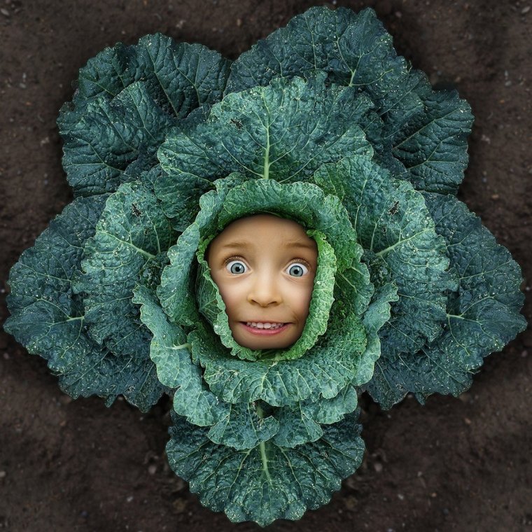 Бабушка с урожаем