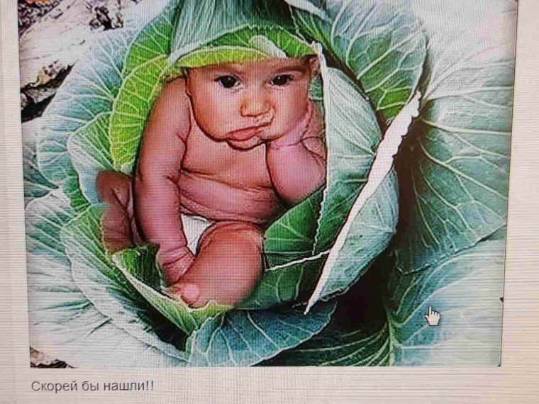 Капуста прикол