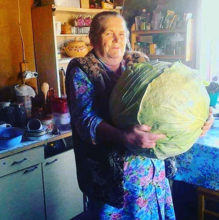 Смешная капуста