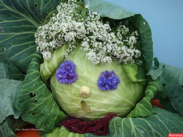 Машина груженная овощами