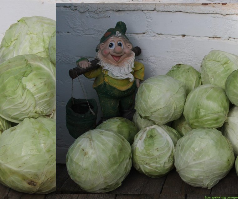 Человек Арбуз