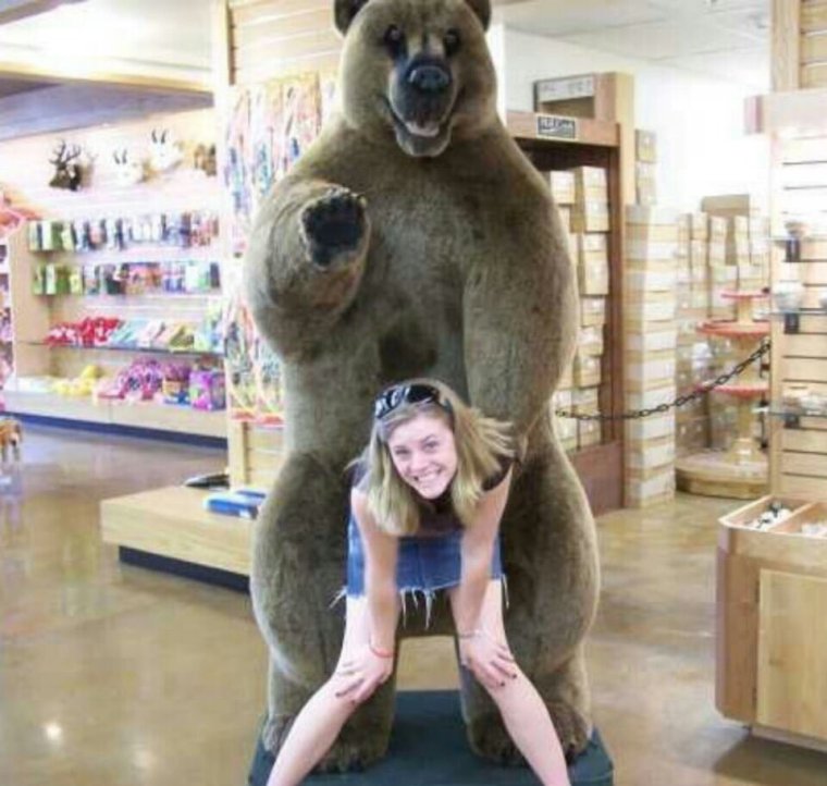 Плюшевый медведь с членом прикол