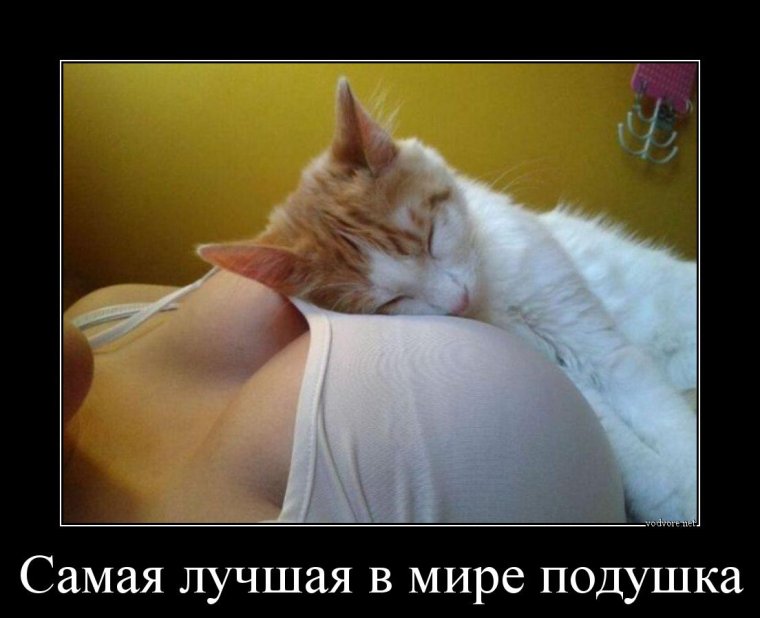 Прикольные демотиваторы для поднятия настроения