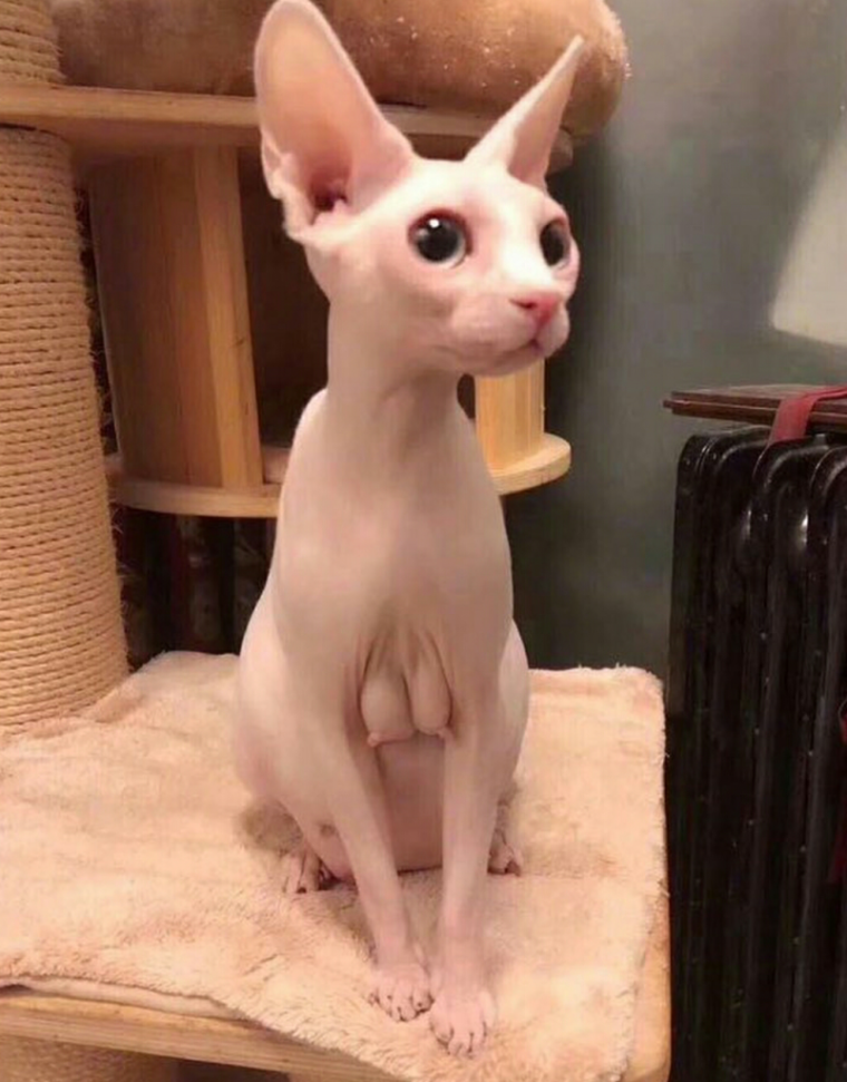 Когда сняла лифчик