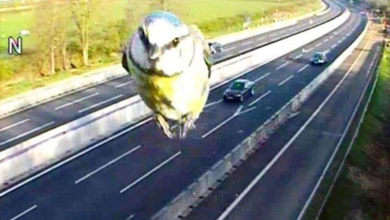 Камера фиксации скорости прикол