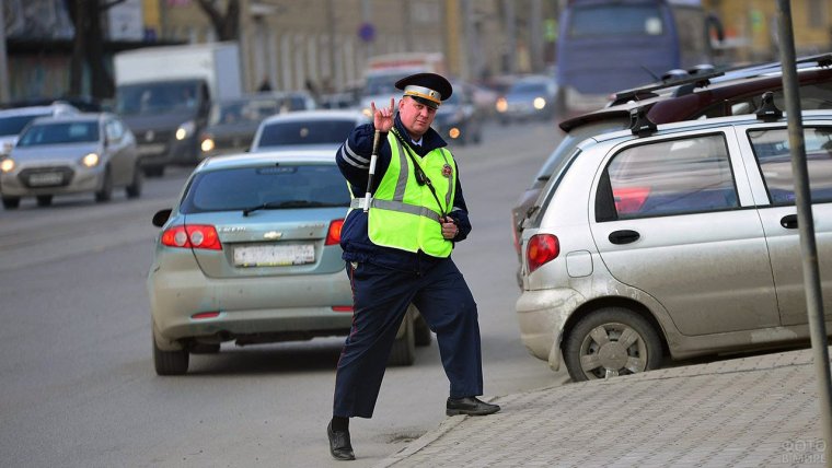 Олени на дорогах юмор