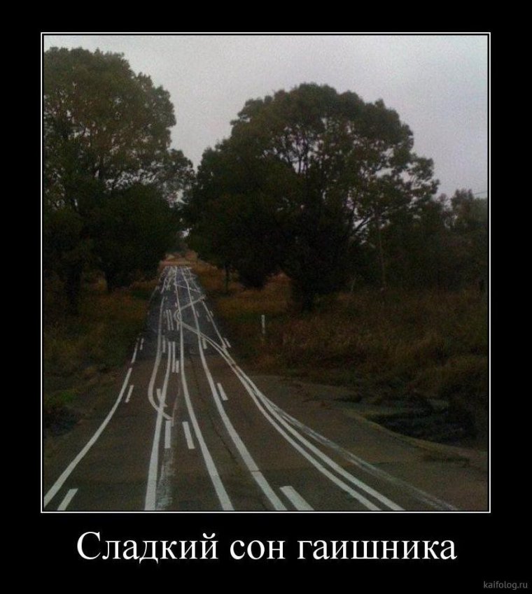 Снимки с камер ГИБДД