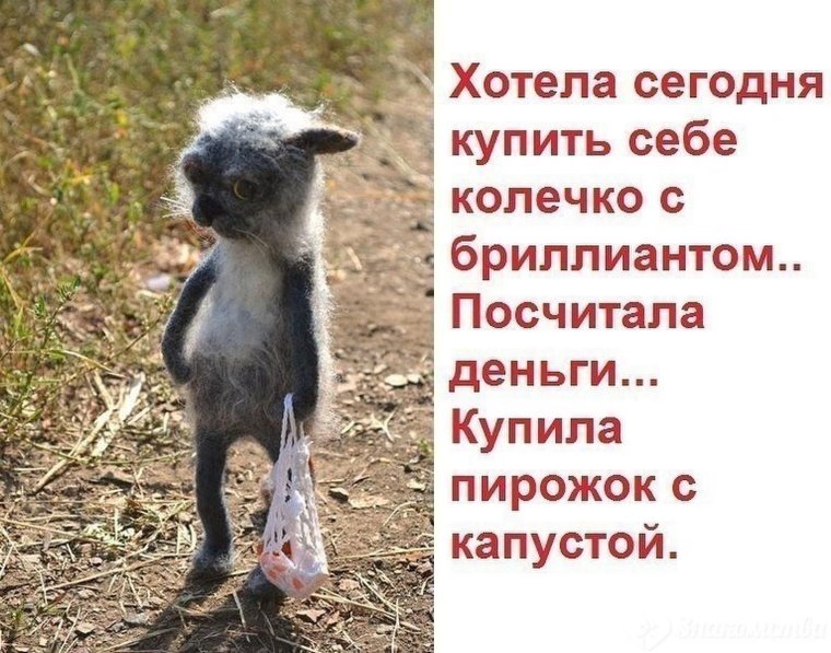 Смешные фото про ленку