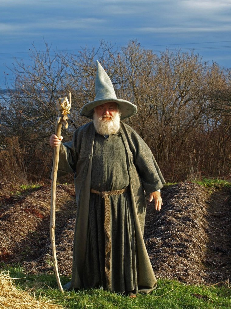 Мерлин старец