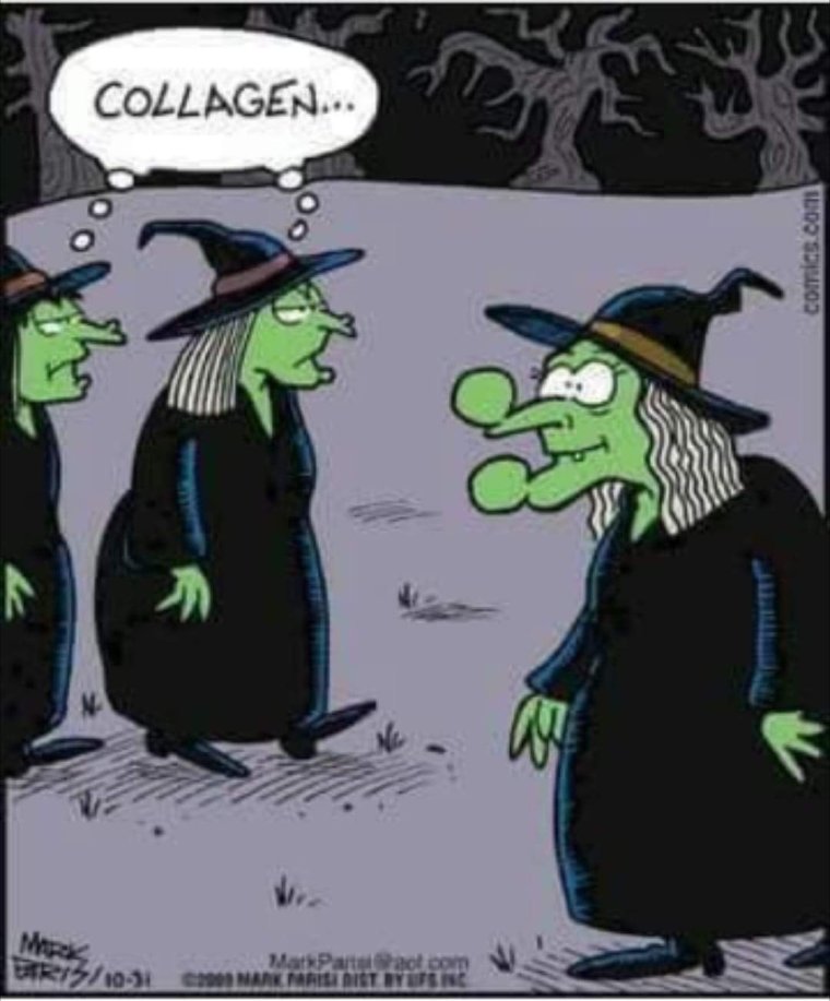 Шутки про ведьм